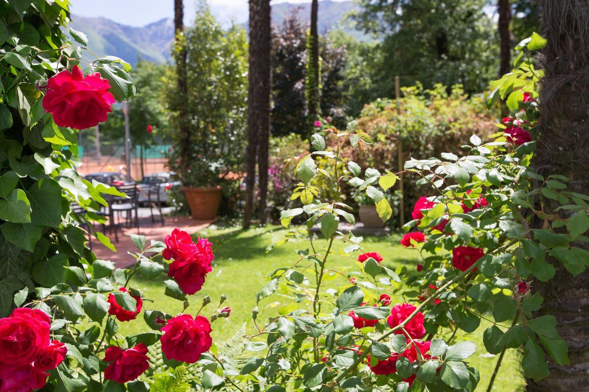 Aparthotel Al Lago Locarno Ngoại thất bức ảnh